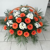Smute�n� vazba