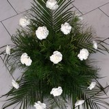 Kytice rostl� z b�l�ch karafi�t�