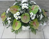 Kytice rostl� - chrysant�my a karafi�ty