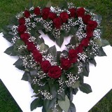 Srdce vyp�chan� do oasisu �iv�ch �erven�ch r���