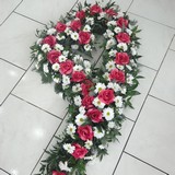 Srdce vyp�chan� do oasisu